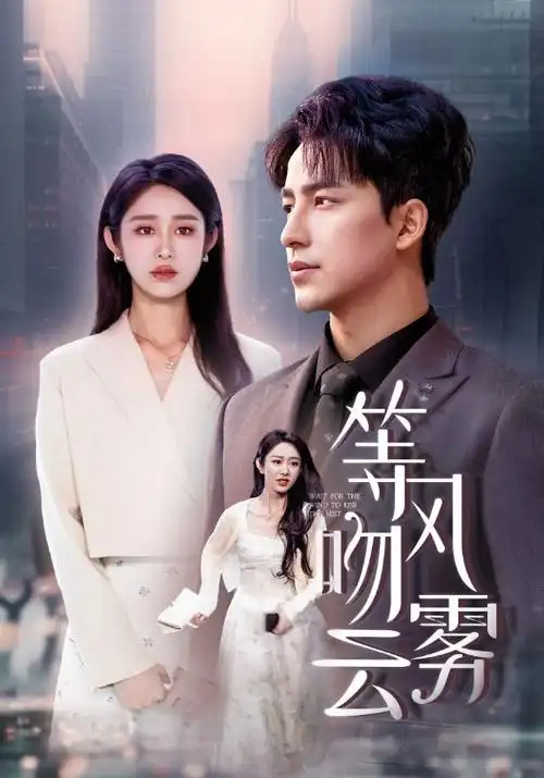 雾港迷局热播电视剧全集免费在线观看